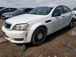 Salvage cars for sale from Copart Brighton, CO: 2013 Chevrolet Caprice Police