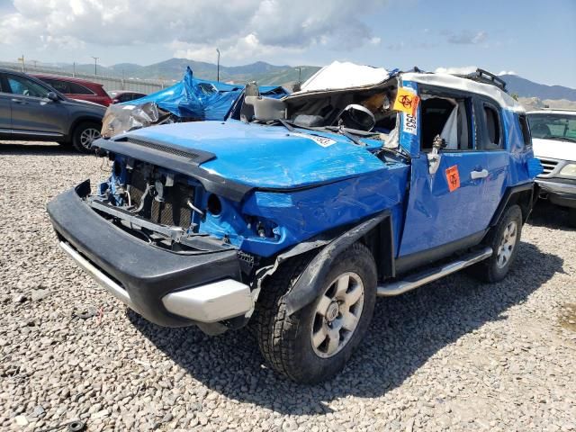 2009 Toyota FJ Cruiser