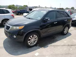 KIA Sorento EX Vehiculos salvage en venta: 2011 KIA Sorento EX