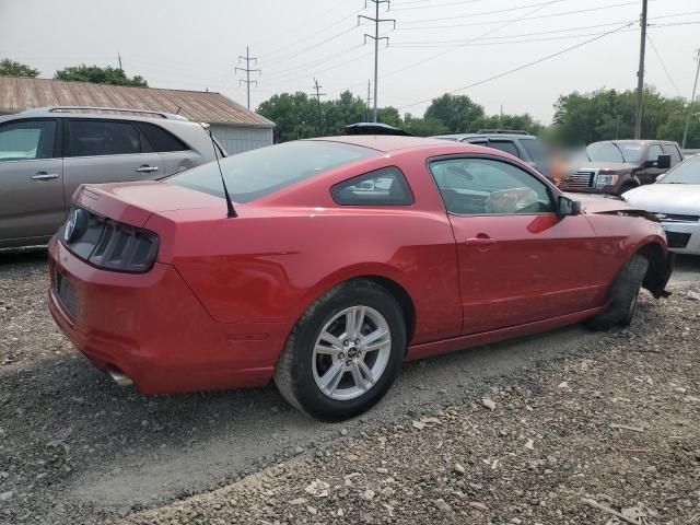 2013 Ford Mustang