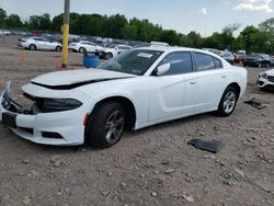Salvage cars for sale at Chalfont, PA auction: 2019 Dodge Charger SXT