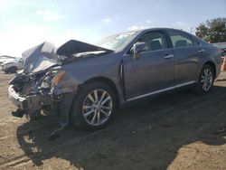 Salvage cars for sale from Copart San Diego, CA: 2012 Lexus ES 350