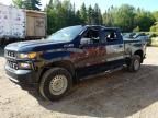 2020 Chevrolet Silverado K1500 Trail Boss Custom