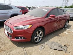 Salvage cars for sale at Elgin, IL auction: 2013 Ford Fusion SE