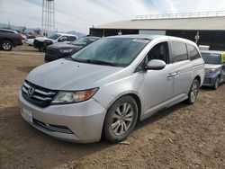 Salvage cars for sale at Phoenix, AZ auction: 2014 Honda Odyssey EXL