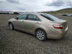 2007 Toyota Camry Hybrid