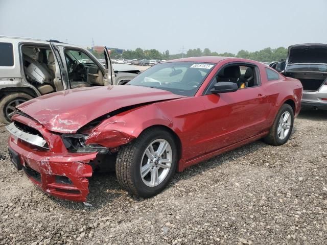 2013 Ford Mustang