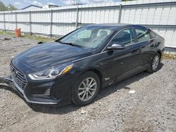 Salvage cars for sale at Albany, NY auction: 2019 Hyundai Sonata SE