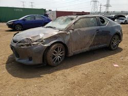 Salvage cars for sale at Dyer, IN auction: 2014 Scion TC