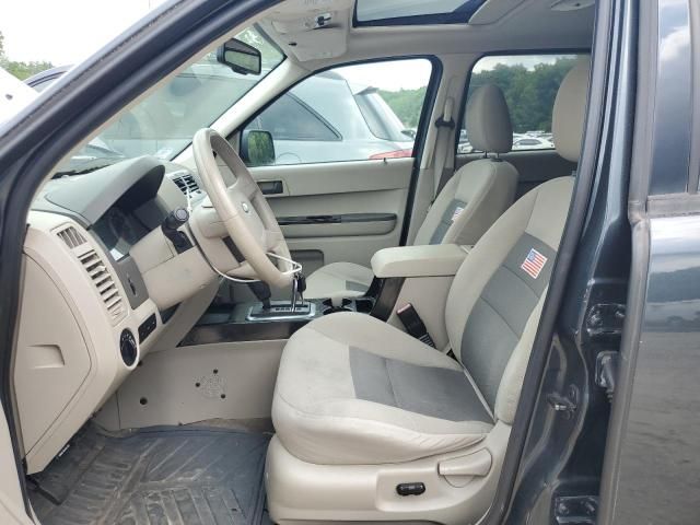 2008 Ford Escape XLT