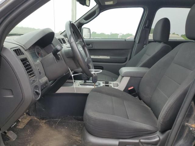 2009 Ford Escape XLT