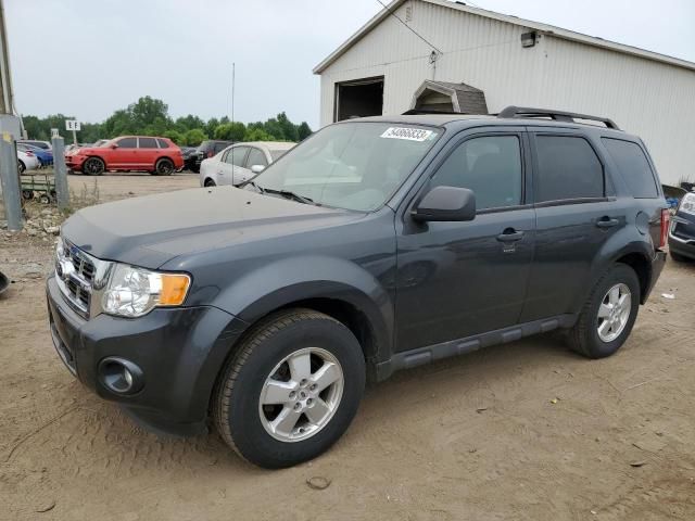 2009 Ford Escape XLT