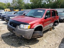 Salvage cars for sale at Franklin, WI auction: 2001 Ford Escape XLT