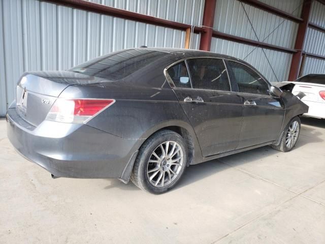 2008 Honda Accord EXL