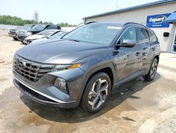 Salvage cars for sale at Louisville, KY auction: 2022 Hyundai Tucson SEL