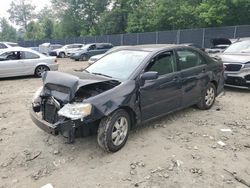 Toyota Corolla CE salvage cars for sale: 2008 Toyota Corolla CE