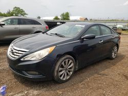 Salvage cars for sale from Copart Columbia Station, OH: 2011 Hyundai Sonata SE
