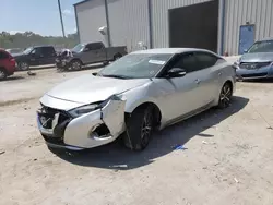 Nissan salvage cars for sale: 2017 Nissan Maxima SV