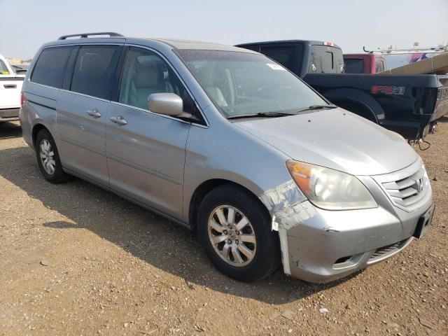 2008 Honda Odyssey EXL