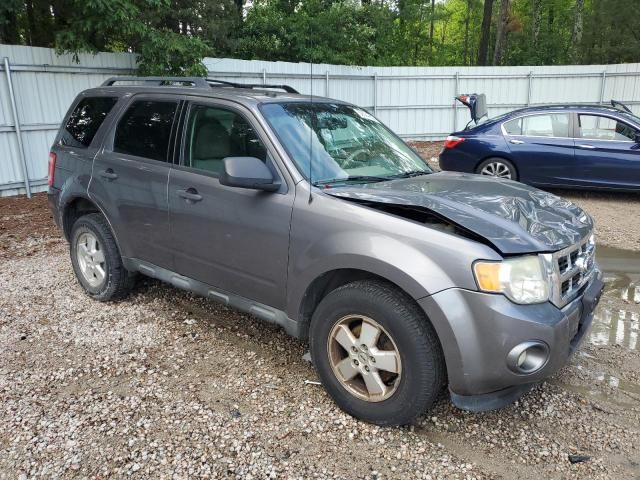 2011 Ford Escape XLT