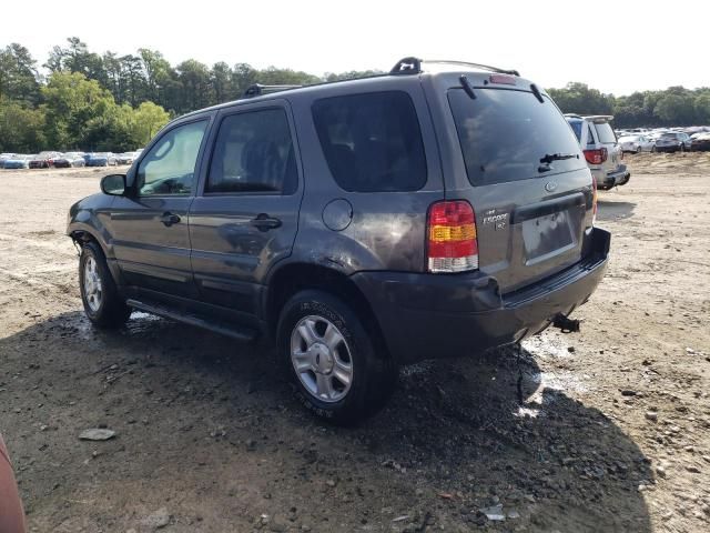 2003 Ford Escape XLT