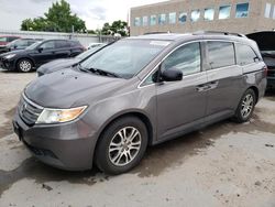 Salvage cars for sale from Copart Littleton, CO: 2011 Honda Odyssey EXL