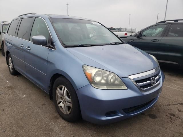 2005 Honda Odyssey EXL