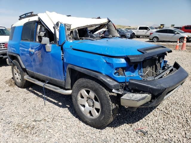 2009 Toyota FJ Cruiser