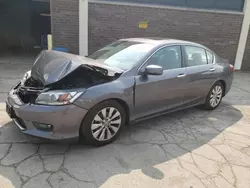 Salvage cars for sale at Wheeling, IL auction: 2014 Honda Accord EXL
