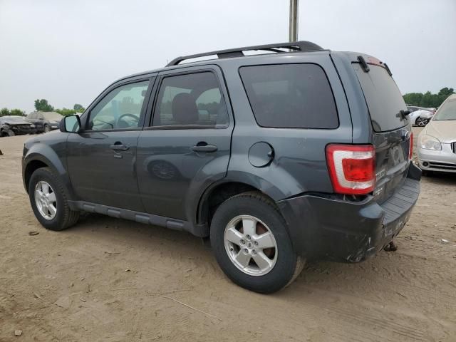 2009 Ford Escape XLT