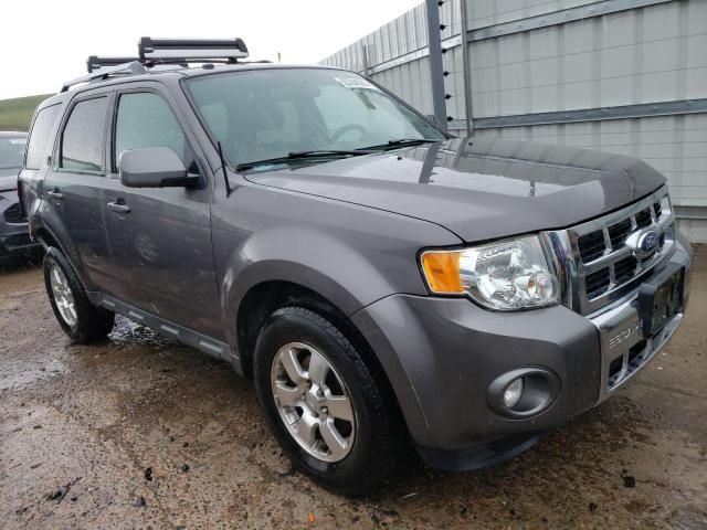 2011 Ford Escape Limited