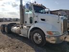 2010 Peterbilt 384