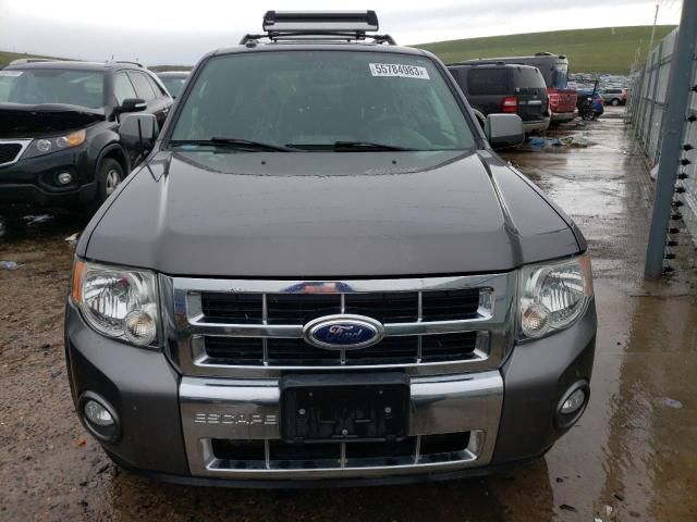 2011 Ford Escape Limited