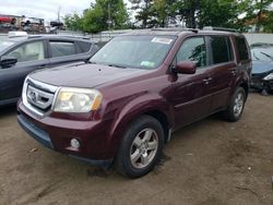 Salvage cars for sale at New Britain, CT auction: 2009 Honda Pilot EXL