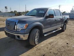 Salvage cars for sale at Dyer, IN auction: 2012 Ford F150 Supercrew