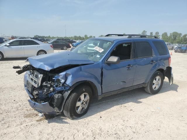 2009 Ford Escape XLT