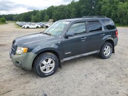 Salvage cars for sale at North Billerica, MA auction: 2008 Ford Escape XLT