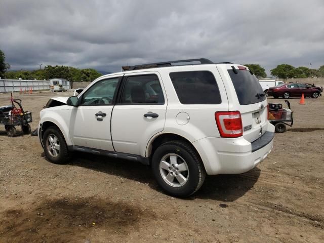 2010 Ford Escape XLT