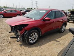 Vehiculos salvage en venta de Copart Elgin, IL: 2020 Ford Escape SE