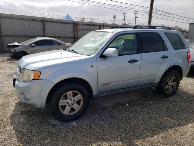 2008 Ford Escape HEV