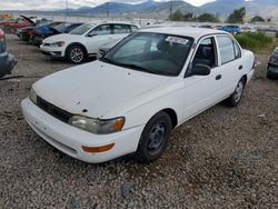 Toyota Corolla salvage cars for sale: 1996 Toyota Corolla
