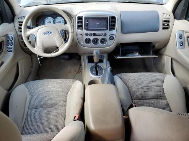 2005 Ford Escape XLT