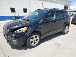 Salvage cars for sale from Copart Farr West, UT: 2013 Ford Escape SE