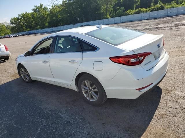 2015 Hyundai Sonata ECO