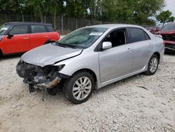 Salvage cars for sale at Cicero, IN auction: 2010 Toyota Corolla Base