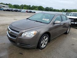 Chevrolet Malibu 1lt Vehiculos salvage en venta: 2012 Chevrolet Malibu 1LT