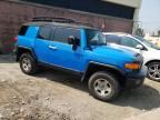 2007 Toyota FJ Cruiser