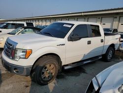 Salvage cars for sale from Copart Earlington, KY: 2009 Ford F150 Supercrew