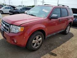 Salvage cars for sale at Elgin, IL auction: 2011 Ford Escape XLT