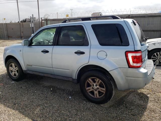 2008 Ford Escape HEV